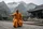 SHAOLIN EXPERIENCE & CAMP
